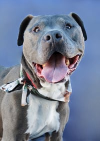 CLIFF - Photo 1