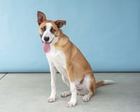 BANDI - Photo 3