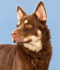 NUKA - Photo 1