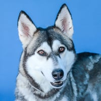 MAMA - Photo 1