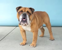CARTER - Photo 1