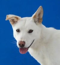 CARTER - Photo 1