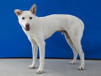 CARTER - Photo 2