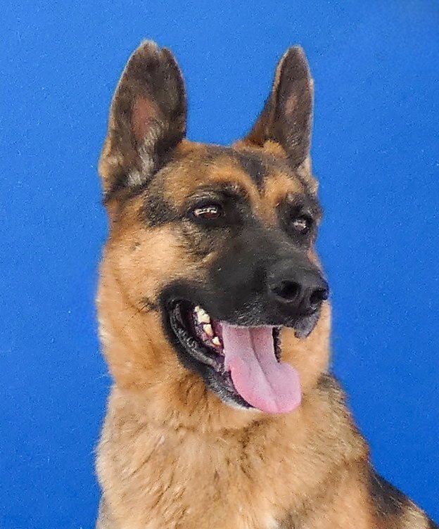 LUCY Image