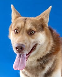 OSO - Photo 1