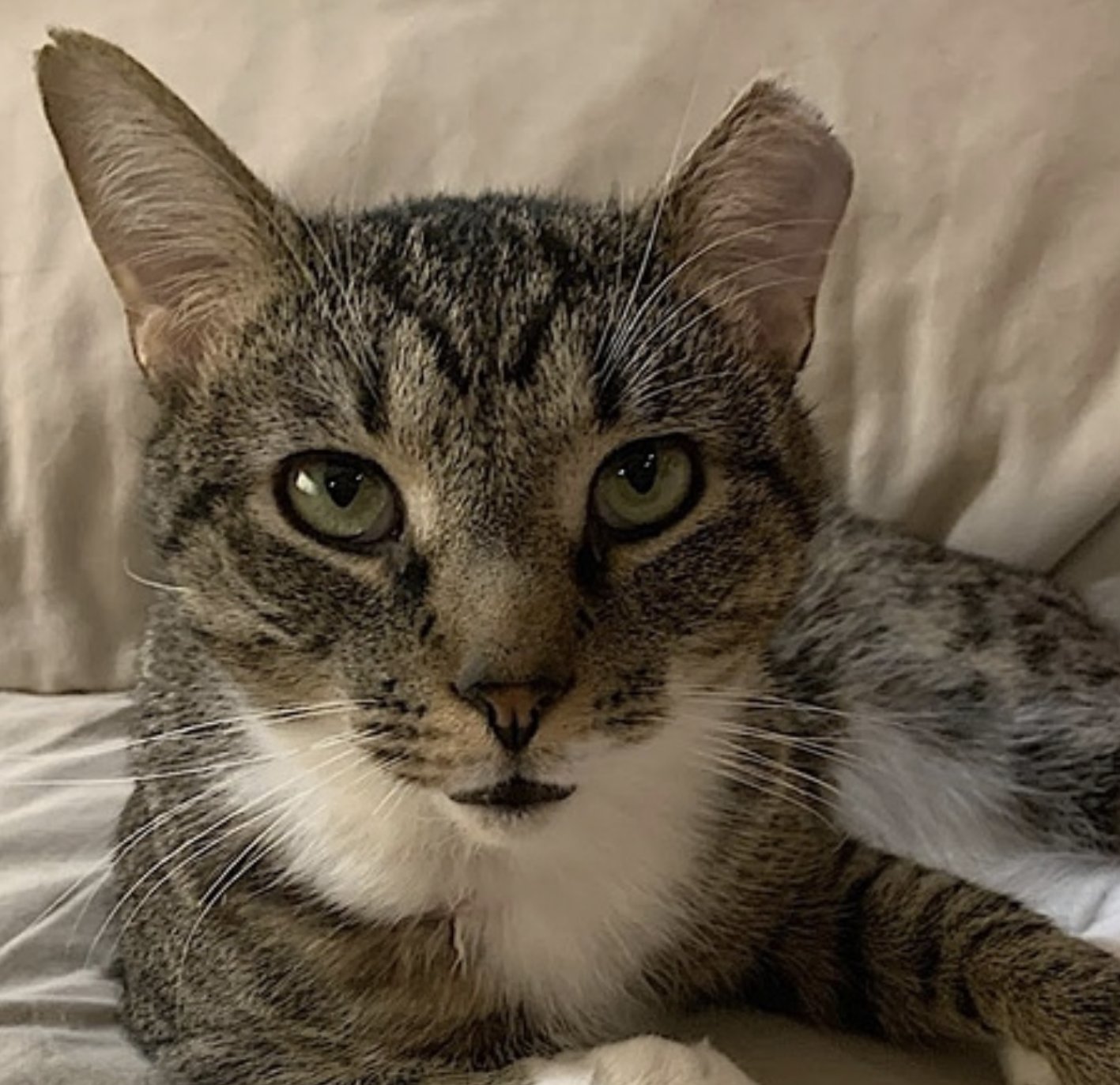 Poppa Bear - Photo 10