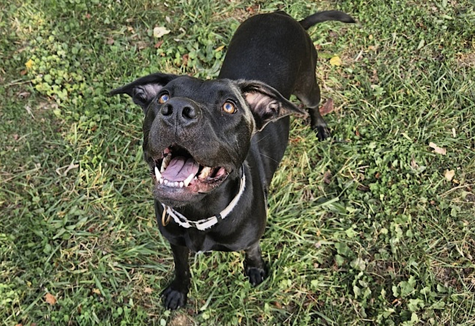 Tula Baloola - Photo 5