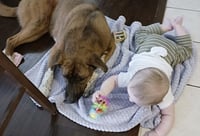 Puppy - Photo 3