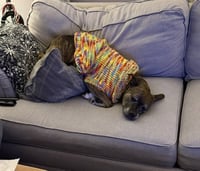 Sophie - Photo 3