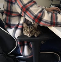 Hammie - Photo 9
