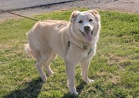 Benson - Photo 4