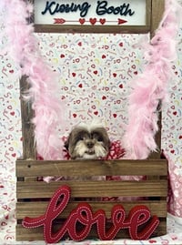 Cookie - Photo 3