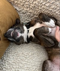 Baby - Photo 4