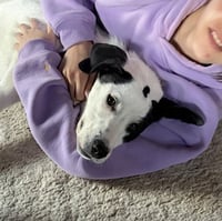 Bella - Photo 2