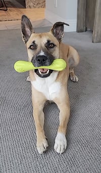 Sage - Photo 6