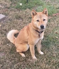 Moxie - Photo 11