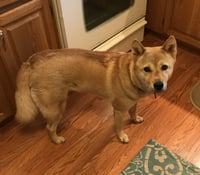 Moxie - Photo 9