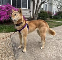 Moxie - Photo 3