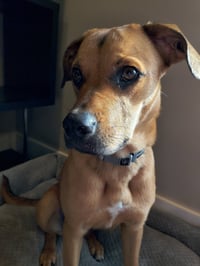 Honey - Photo 7