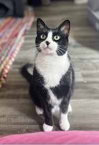 Bruddah and Crybaby - Photo 3