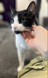 Bruddah and Crybaby - Photo 4