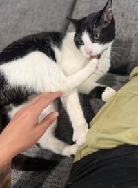 Bruddah and Crybaby - Photo 6