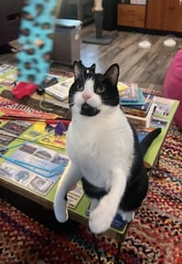 Bruddah and Crybaby - Photo 7