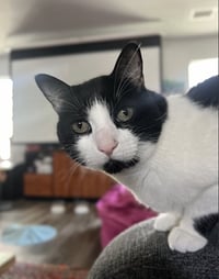 Bruddah and Crybaby - Photo 9