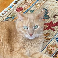 Rudy - Photo 6