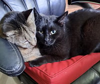 Danny and Lilbit - Photo 3