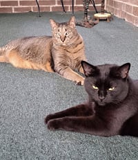 Danny and Lilbit - Photo 6