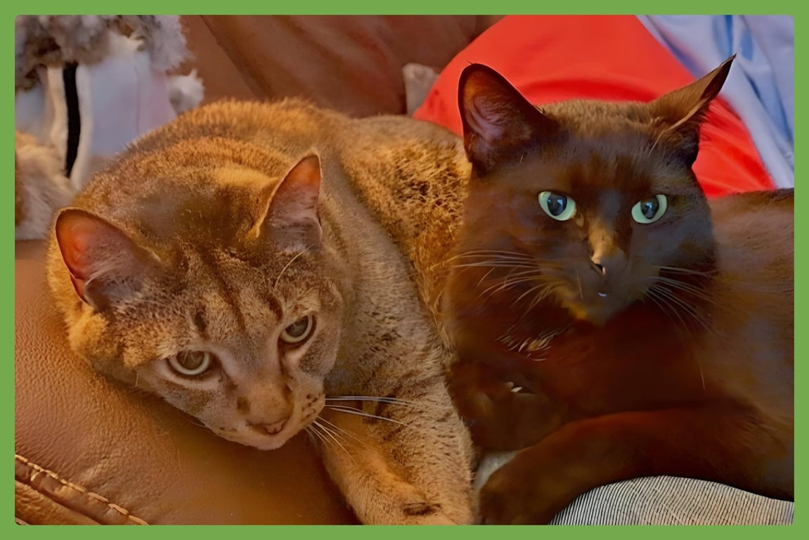 Danny and Lilbit Image