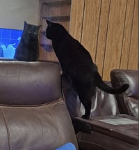 Danny and Lilbit - Photo 4