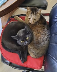 Danny and Lilbit - Photo 5