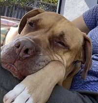 Jax - Photo 15