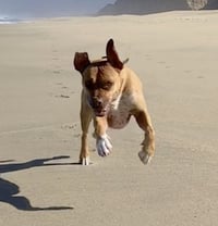 Jax - Photo 12