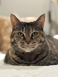 Mimi - Photo 8