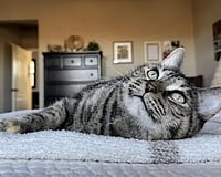 Mimi - Photo 7