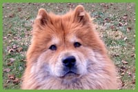 Muffy - Photo 1