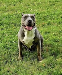 Neela - Photo 2