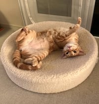 Luna and Nabi - Photo 3