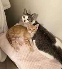 Luna and Nabi - Photo 4