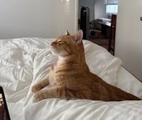 Luna and Nabi - Photo 6