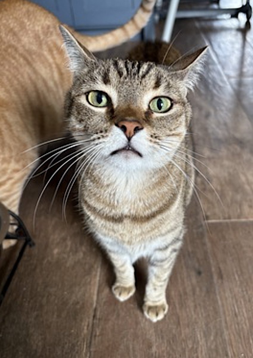 Oliver and Teddy - Photo 3