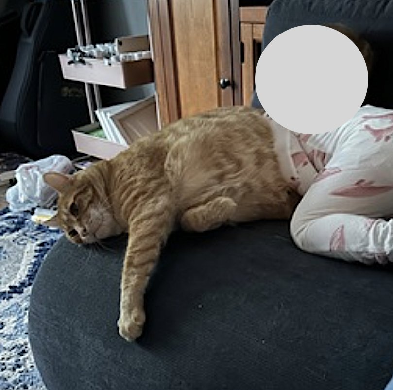 Oliver and Teddy - Photo 5