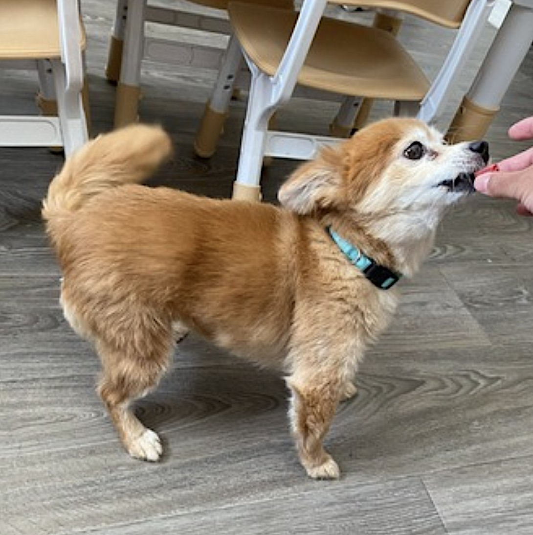 Eevee and Ellie - Photo 4