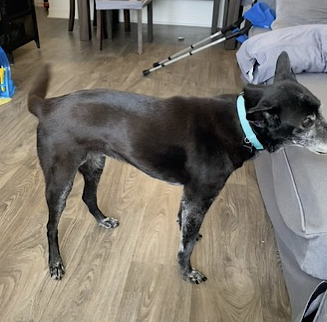 Eevee and Ellie - Photo 5