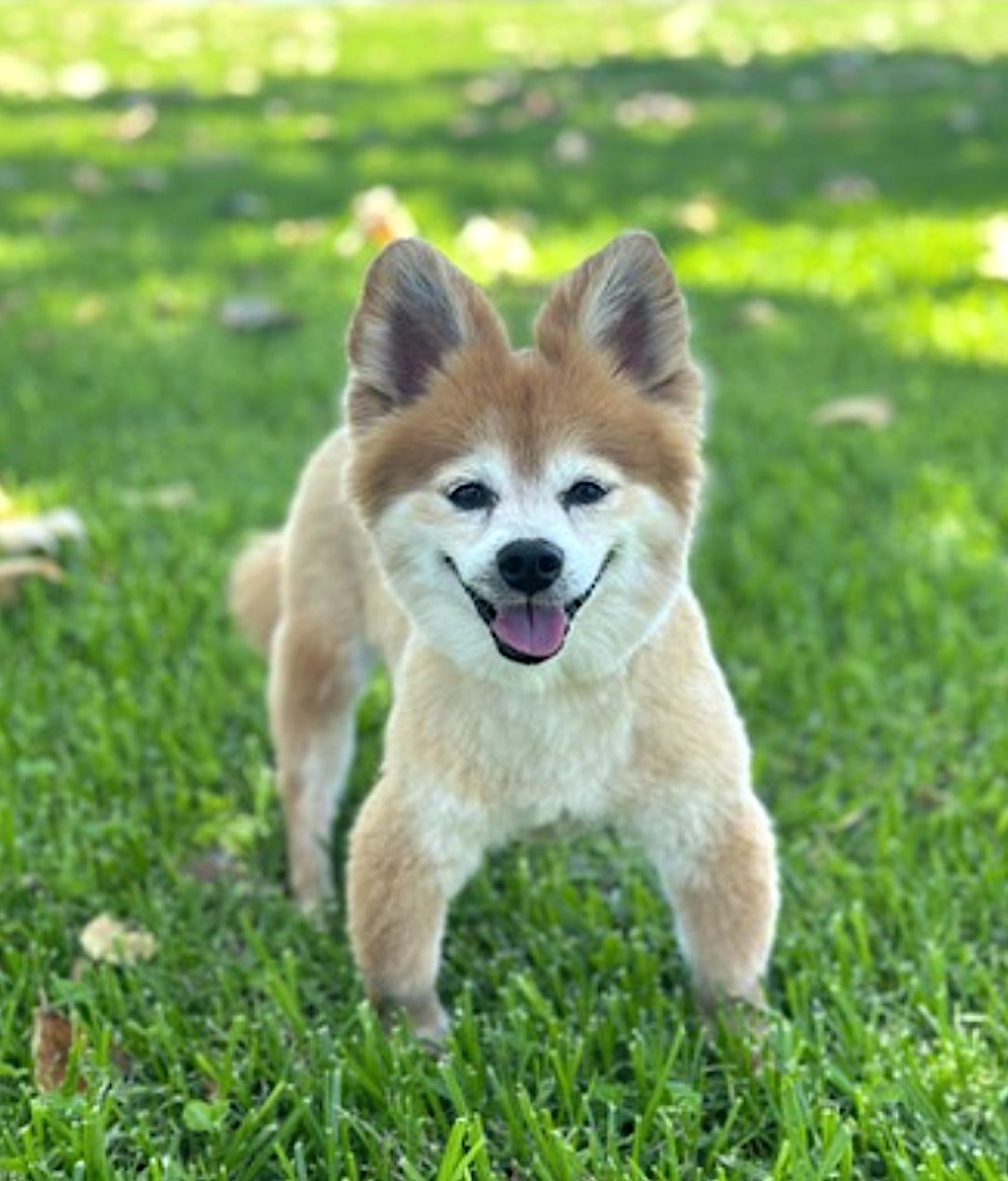 Eevee and Ellie - Photo 6