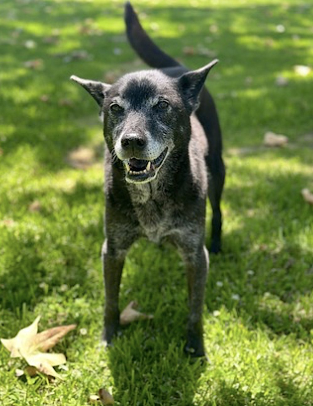 Eevee and Ellie - Photo 7