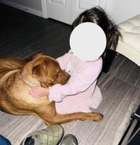 Stitch - Photo 7